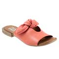 Coral color swatch