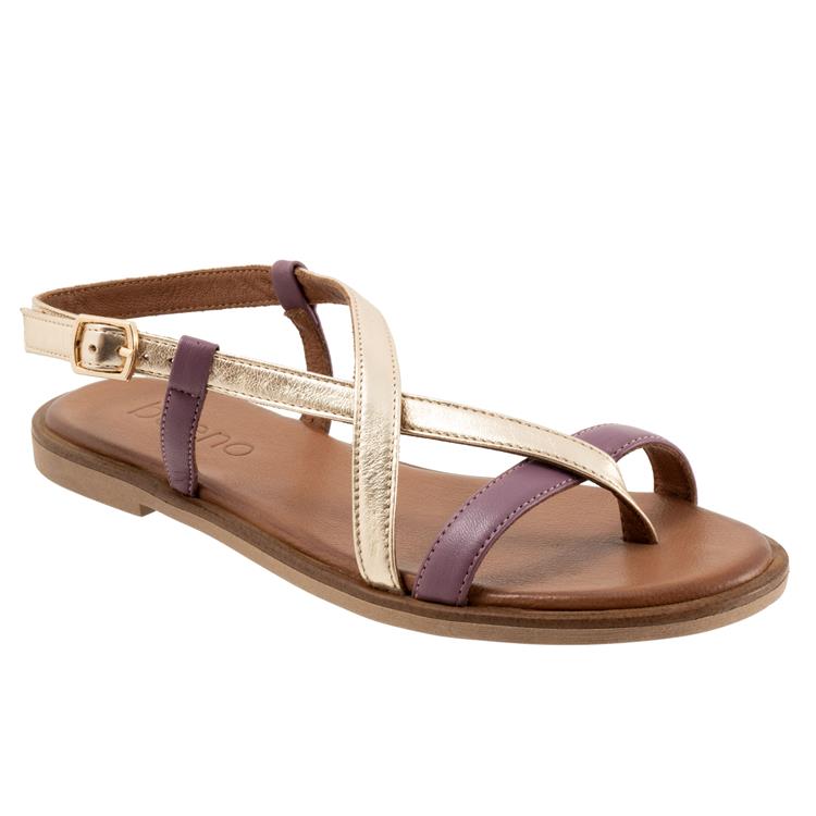 Harriot Purple Multi