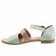 Janet Pale Green
