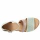 Janet Pale Green