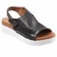 Summer Black