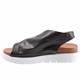Summer Black